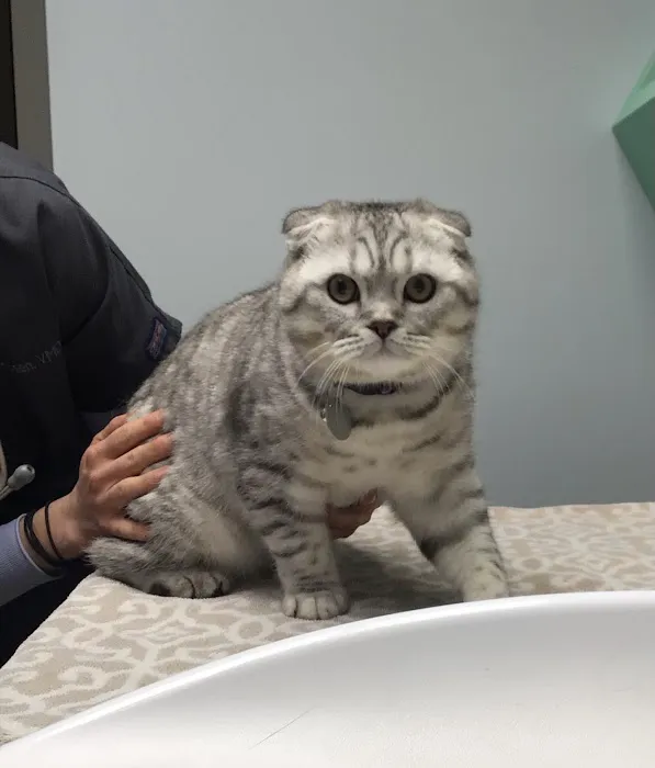 Park Ridge Animal Hospital 12