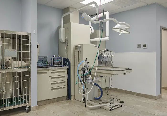 Park Ridge Animal Hospital 12