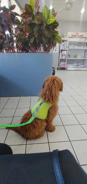 Dog Cat & Bird Clinic of Nutley 12