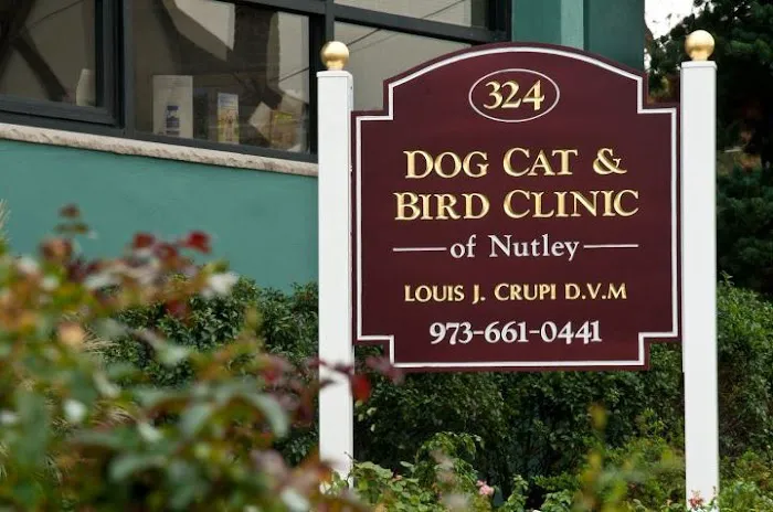 Dog Cat & Bird Clinic of Nutley 12