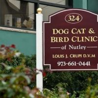 Dog Cat & Bird Clinic of Nutley ico