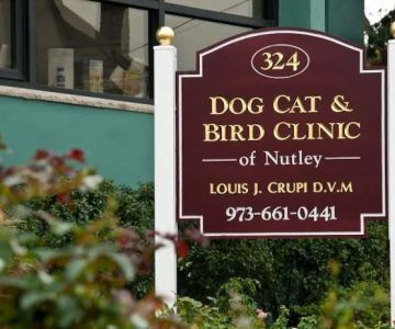 Dog Cat & Bird Clinic of Nutley