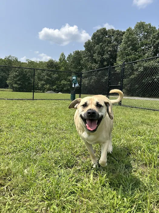 Dog Cat & Bird Clinic of Nutley 12