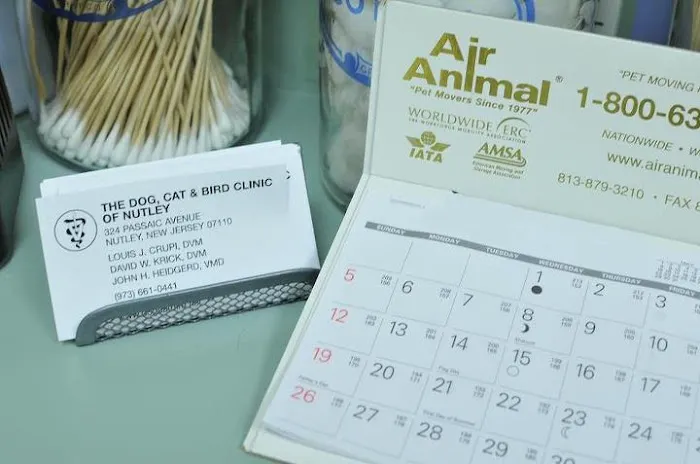 Dog Cat & Bird Clinic of Nutley 12