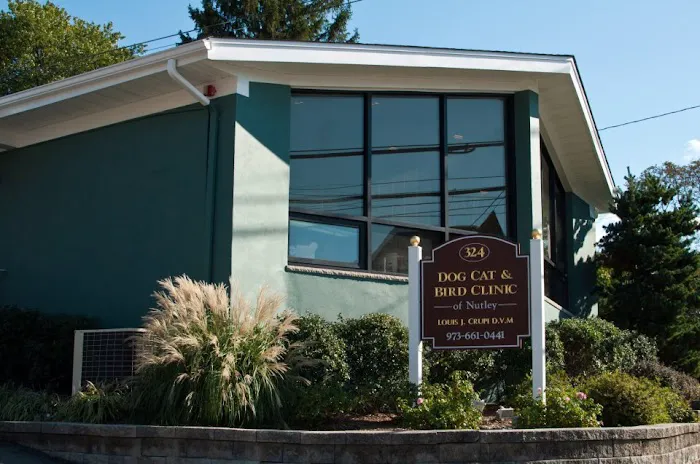 Dog Cat & Bird Clinic of Nutley 12