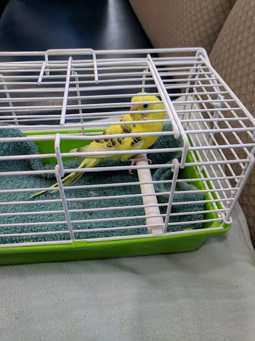 Dog Cat & Bird Clinic of Nutley 12