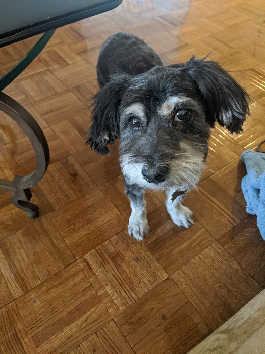 Nutley Animal Hospital 12