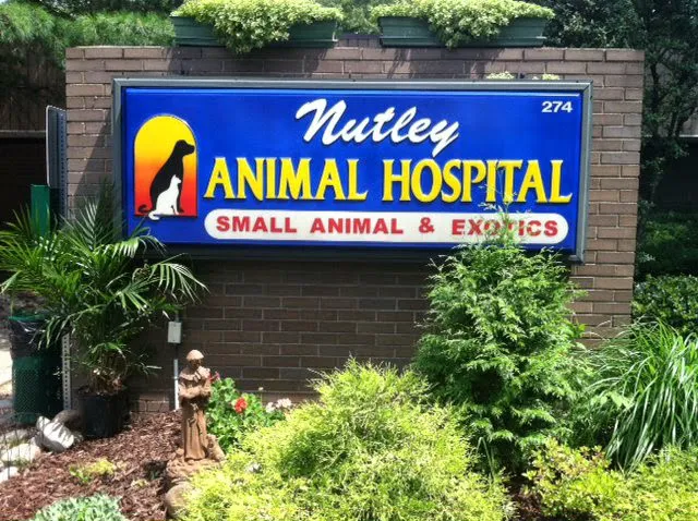 Nutley Animal Hospital 12