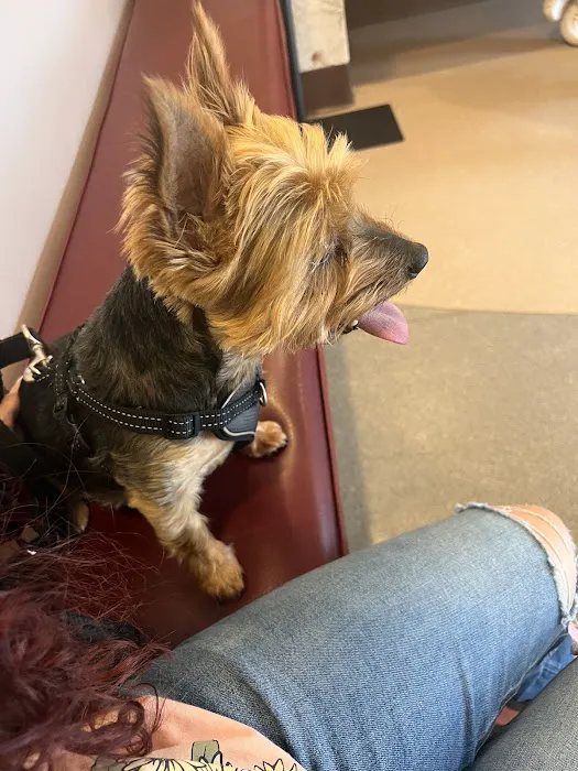 Nutley Animal Hospital 12