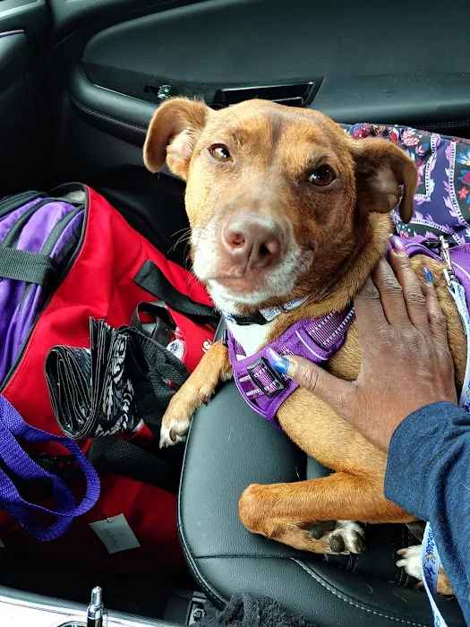 Michigan Humane Veterinary Center 7