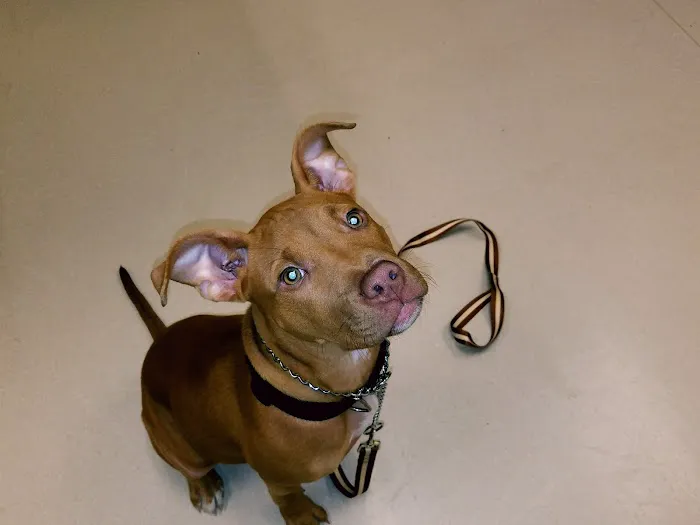 Michigan Humane Veterinary Center 6