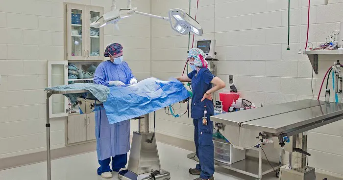 Michigan Humane Veterinary Center 3