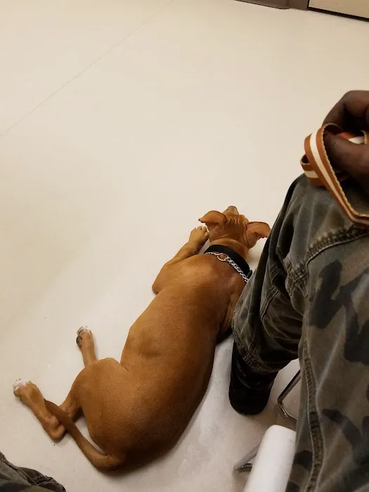 Michigan Humane Veterinary Center 8