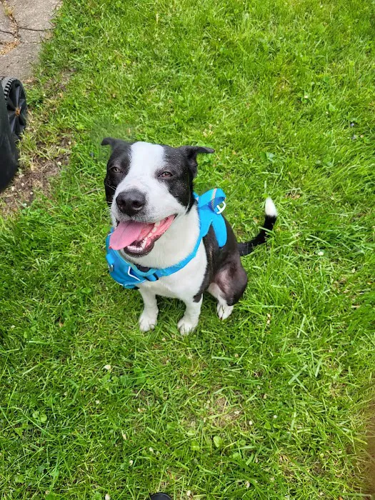 Michigan Humane Veterinary Center 10