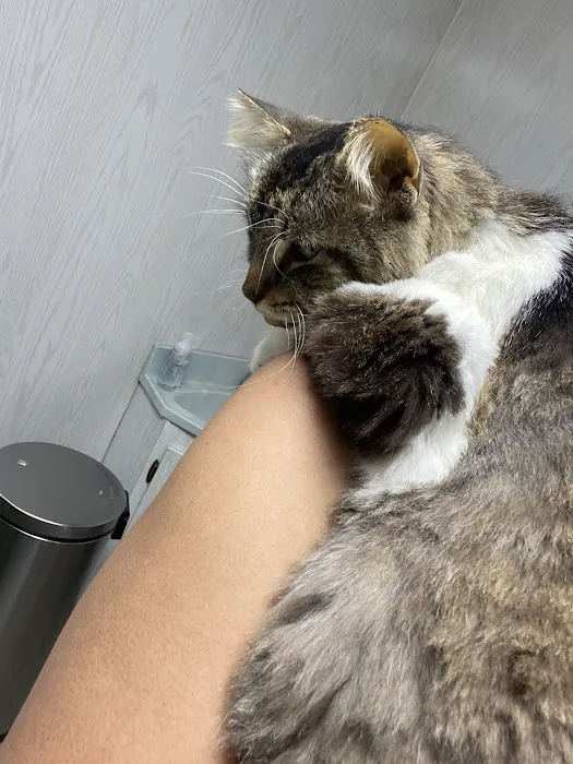 Francis Animal Hospital 3