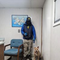 Francis Animal Hospital ico