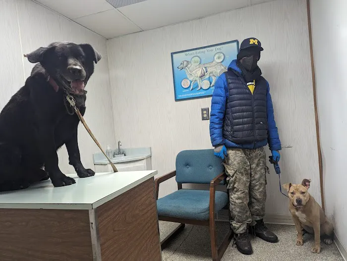 Francis Animal Hospital 2