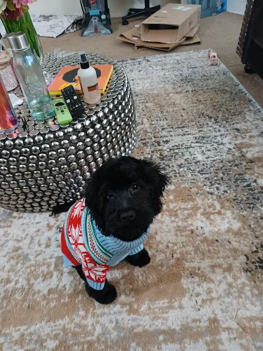 Francis Animal Hospital 9