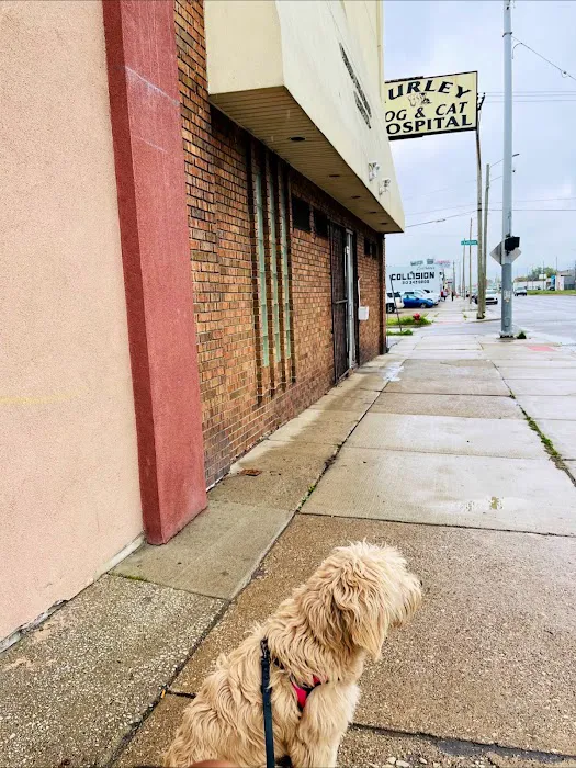 Hurley Dog and Cat Hospital 8