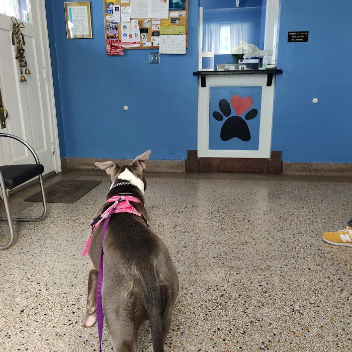 La Fond Veterinary Hospital 2