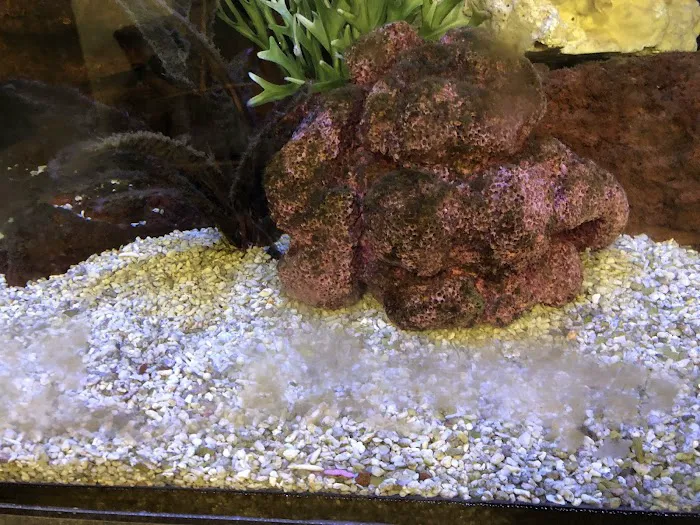 Clayton Aquarium Corporation 4