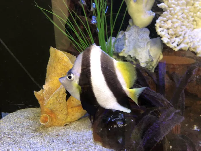 Clayton Aquarium Corporation 6