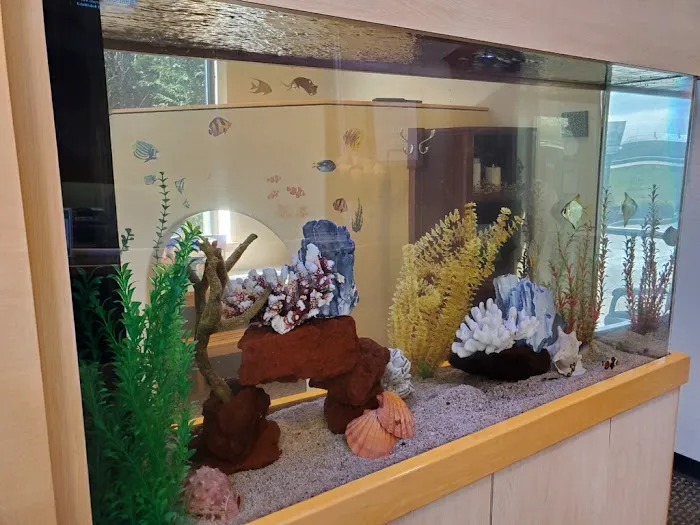 Clayton Aquarium Corporation 5