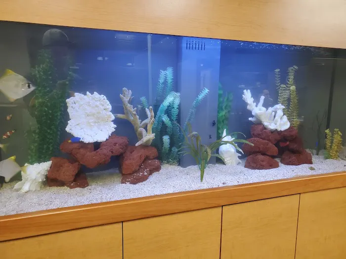 Clayton Aquarium Corporation 7