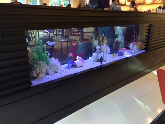Clayton Aquarium Corporation 9