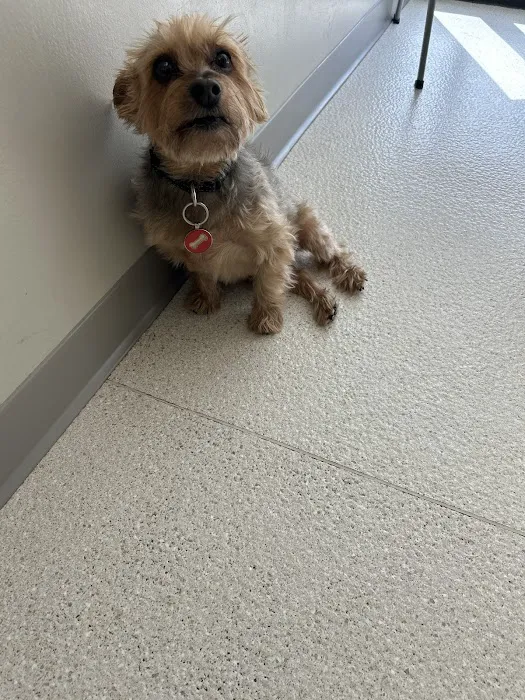 Hartrick Veterinary Clinic 1