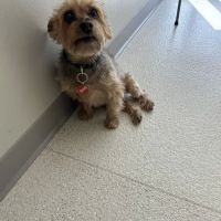 Hartrick Veterinary Clinic ico