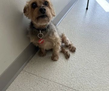 Hartrick Veterinary Clinic