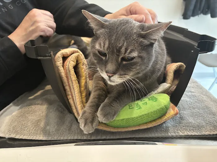 Hartrick Veterinary Clinic 3