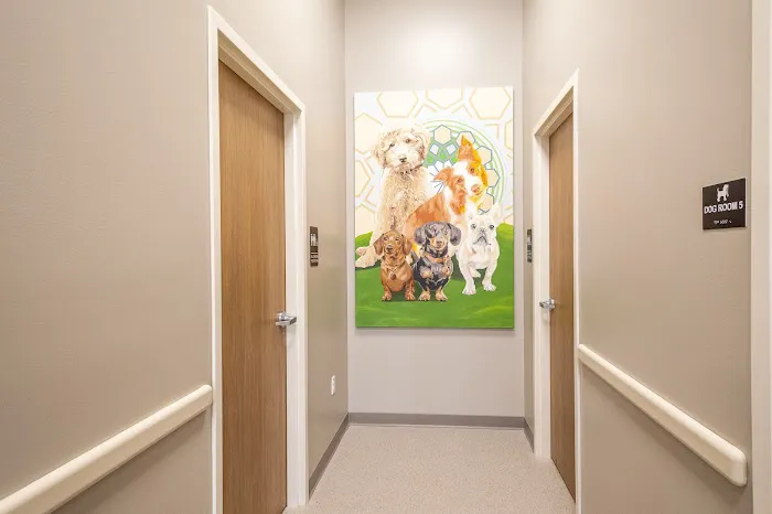 Hartrick Veterinary Clinic 7