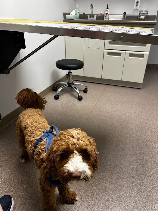 Berkley Animal Hospital 3