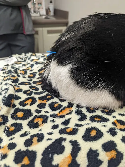 Berkley Animal Hospital 2