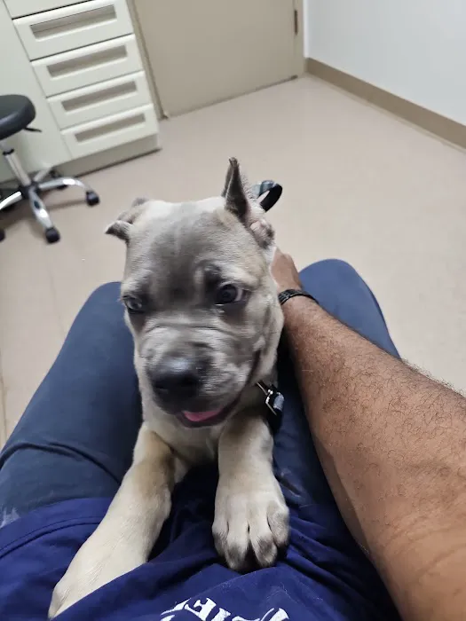 Berkley Animal Hospital 5