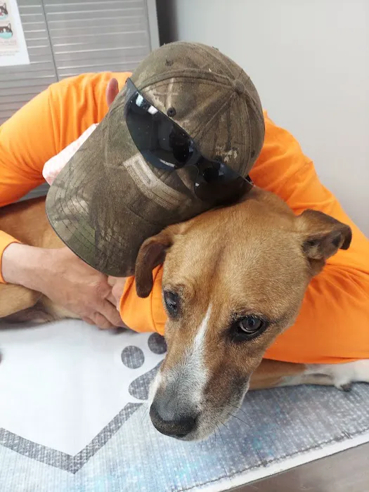 Berkley Animal Hospital 9