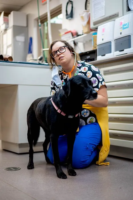Berkley Animal Hospital 10