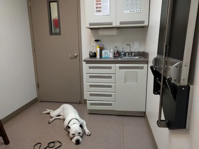 Berkley Animal Hospital 8