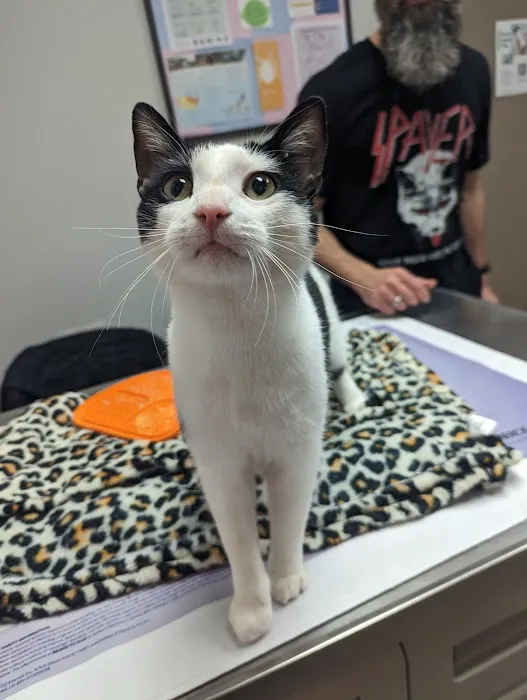 Berkley Animal Hospital 6
