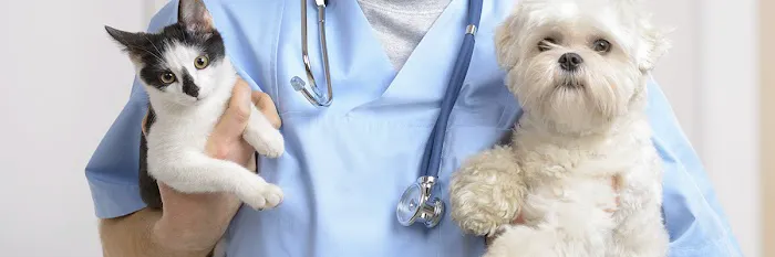 Animal Hospital of Central Brevard 12
