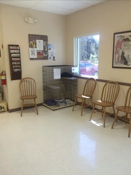 Animal Hospital of Central Brevard 12
