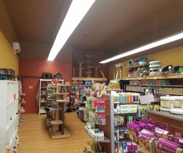 All The Best Pet Care - Ballard