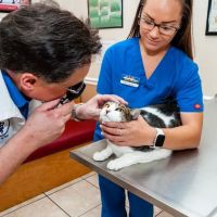 SunShine Animal Hospital of Melbourne ico