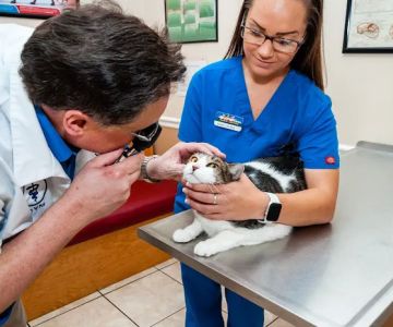 SunShine Animal Hospital of Melbourne