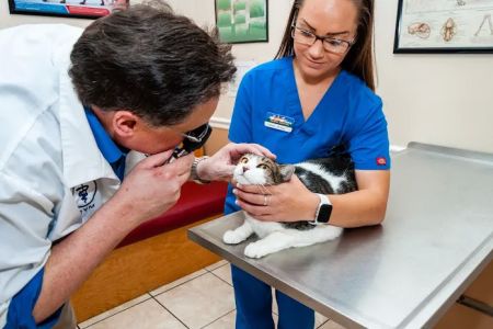SunShine Animal Hospital of Melbourne