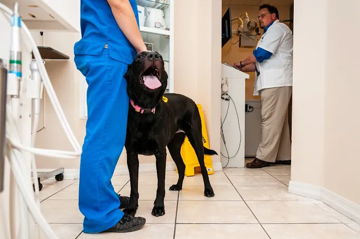 SunShine Animal Hospital of Melbourne 12