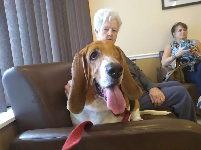 Animal Eye Specialty Clinic - Melbourne 12