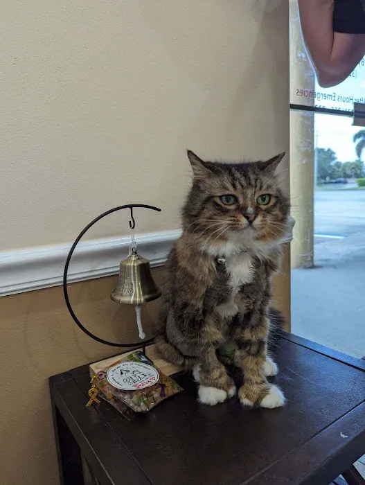 Animal Cancer Care Clinic 12